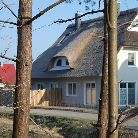 Kleine Seenixe Zingst Exterior photo