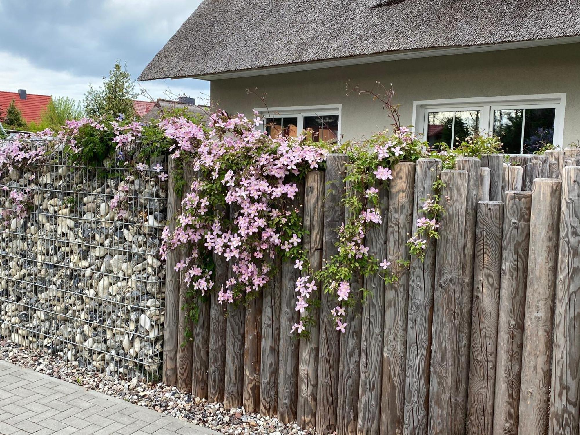 Kleine Seenixe Zingst Exterior photo